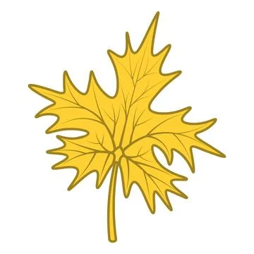 Maple leaf. Yellow part of the tree with veins. Color vector illustration. Illustrazione stock