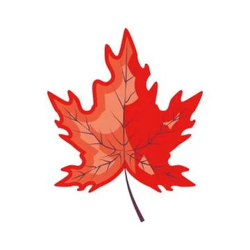 Maple leafs autumn pattern background Stock Illustration