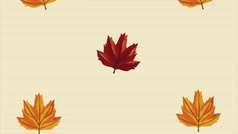 Maple leafs autumn season pattern Stock Footage 214183564