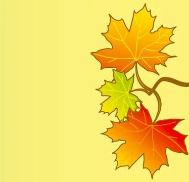 Maple leafs Stock Illustration