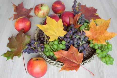 Maple leafs, nectarine, apples, grapes isolated on a wooden background. Stock Photos