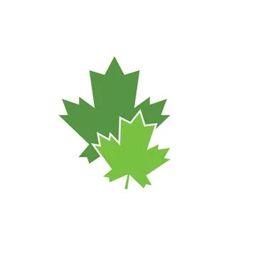 Maple leave vector illustration Stock Illustration