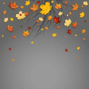 Maple leaves and branch Stock Illustration
