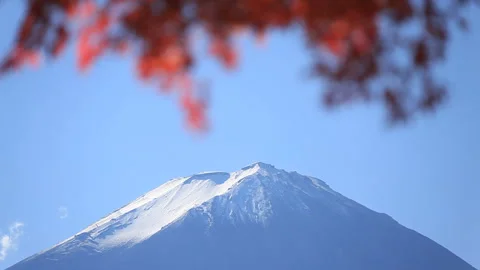 Maple Leaves and Mount Fuji 스톡 동영상 330290548