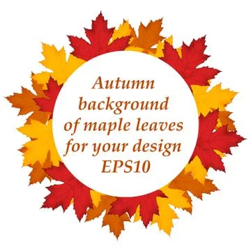 Maple leaves background. EPS10 Stock Illustration