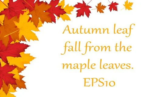 Maple leaves background. EPS10 Stock Illustration