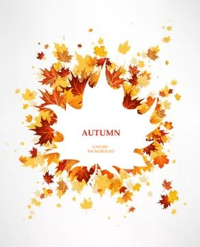 Maple leaves background Stock Illustration