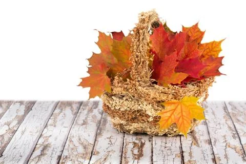 Maple leaves in a basket Stock Photos
