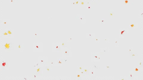 Maple Leaves Burst on Alpha Stock Footage 302455113