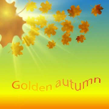 Maple leaves at the end of autumn. In the background of heaven Stock Illustration