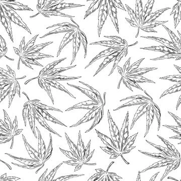 Maple leaves engraved hand drawn vector seamless pattern, season japanese maple Stock Illustration