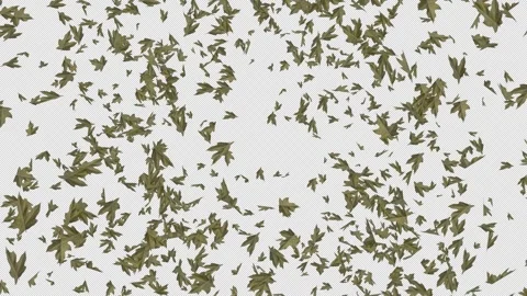 Maple Leaves Explosion. Burst of Maple Leaf. Alpha Channel Video stock 290177285