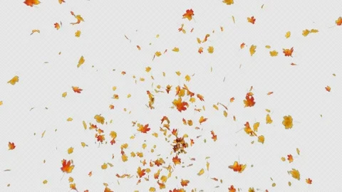 Maple Leaves Explosion Stock Footage 161153125