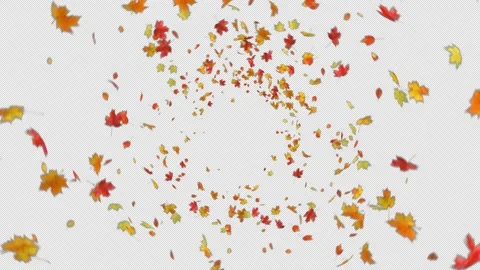 Maple Leaves Explosion Stock Footage 240923894