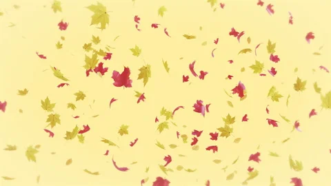 Maple Leaves Explosion Pastel Background Stock Footage 320674644