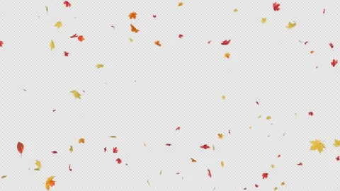 Maple Leaves Fall with Grace Stock Footage 305771319