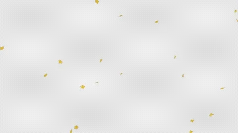 Maple Leaves Falling 2 Clip Alpha Pack Stock Footage 316894672