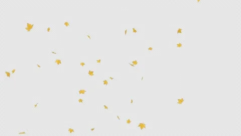 Maple Leaves Falling Alpha Clip Stock Footage 317325802