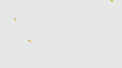 Maple Leaves Falling Alpha Clip Stock Footage 322572774