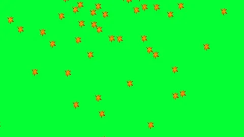 maple leaves falling background and 2d a... | Stock Video | Pond5
