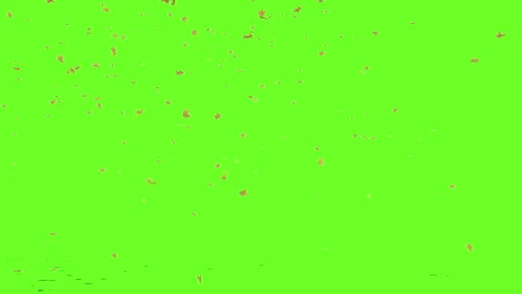 Maple Leaves Falling Green Screen Element Stock Footage 321115442