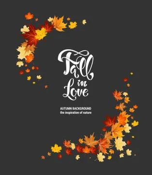 Maple leaves as frame on dark background Stock Illustration