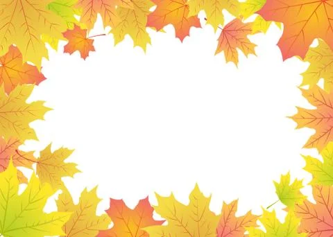 Maple leaves frame Illustrazione stock