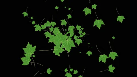 Maple leaves generating and floating around 4K UHD footage Stock-Footage 139096525