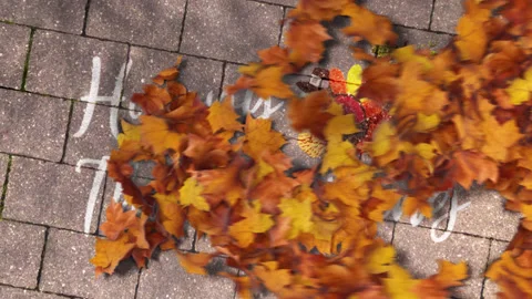 Maple Leaves Getting Blown With Wind and Revealing Happy Thanksgiving Message Stock Footage 220998998