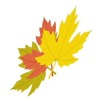 Maple leaves icon, isometric 3d style Stock Illustration