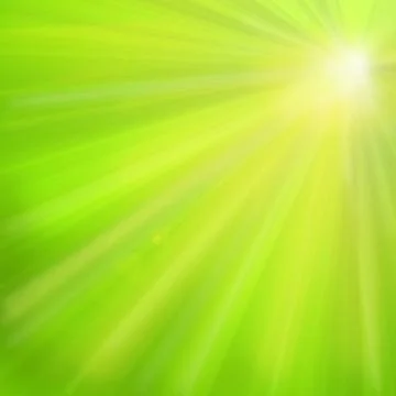 Maple leaves Stock Illustration