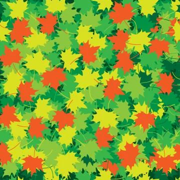 Maple leaves Illustrazione stock
