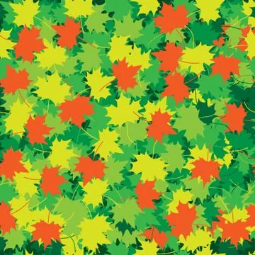 Maple leaves Stock Illustration
