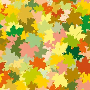 Maple leaves Stock Illustration