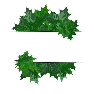 Maple leaves Stock Illustration