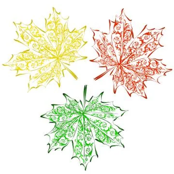 Maple leaves Illustrazione stock
