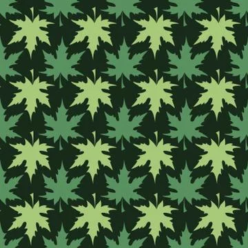 Maple Leaves Stock Illustration