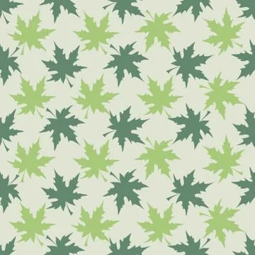 Maple Leaves Stock Illustration
