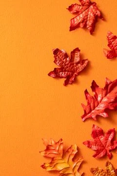 Maple leaves isolated on orange table background for design elements in autum Stock Photos