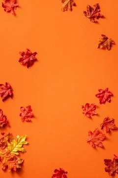 Maple leaves isolated on orange table background for design elements in autum Stock Photos
