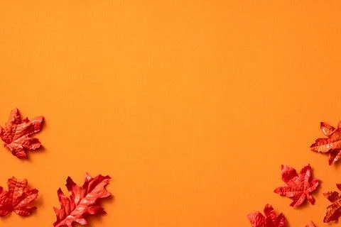 Maple leaves isolated on orange table background for design elements in autum Stock Photos