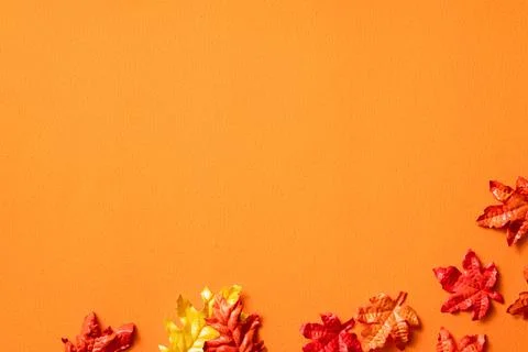 Maple leaves isolated on orange table background for design elements in autum Stock Photos