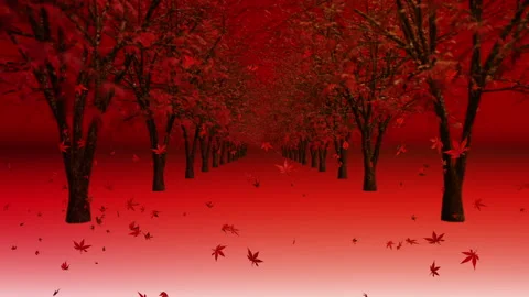 Maple leaves land scape sun rise loop animation Vídeos de archivo 146637071