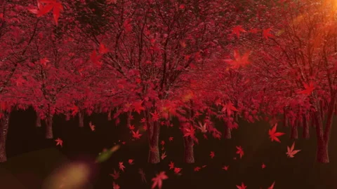Maple leaves land scape sun rise loop animation Vídeos de archivo 146637181