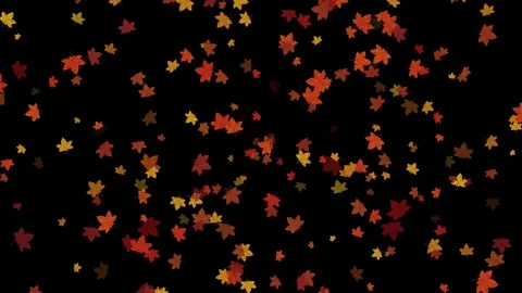 Maple Leaves Luminance Matte Loop Background Stock Footage 319885170