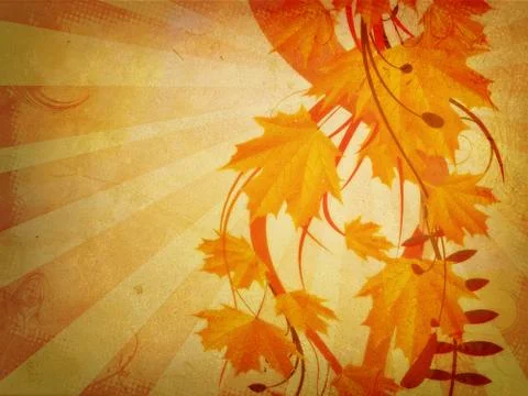 Maple leaves ornament Stock Illustration