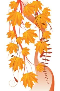 Maple leaves ornament Stock Illustration