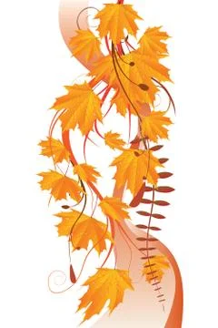 Maple leaves ornament Stock Illustration