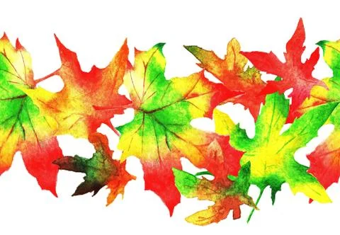 Maple leaves. Pattern. Watercolor Stock Illustration