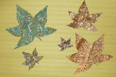 Maple leaves Stock Photos